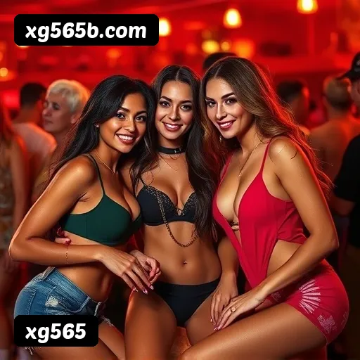 FAQ - Perguntas Frequentes xg565